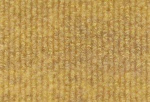 BEBIW0036-Cocos-Pantone465C