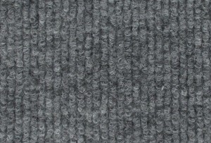 BEBIW0905-Grey (Ex 0005)-Pantone425C