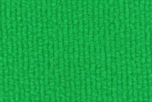 BEBIW0961-Apple Green (Ex 0051)-Pantone355C