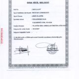 Page_00001