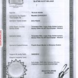 Page_00001